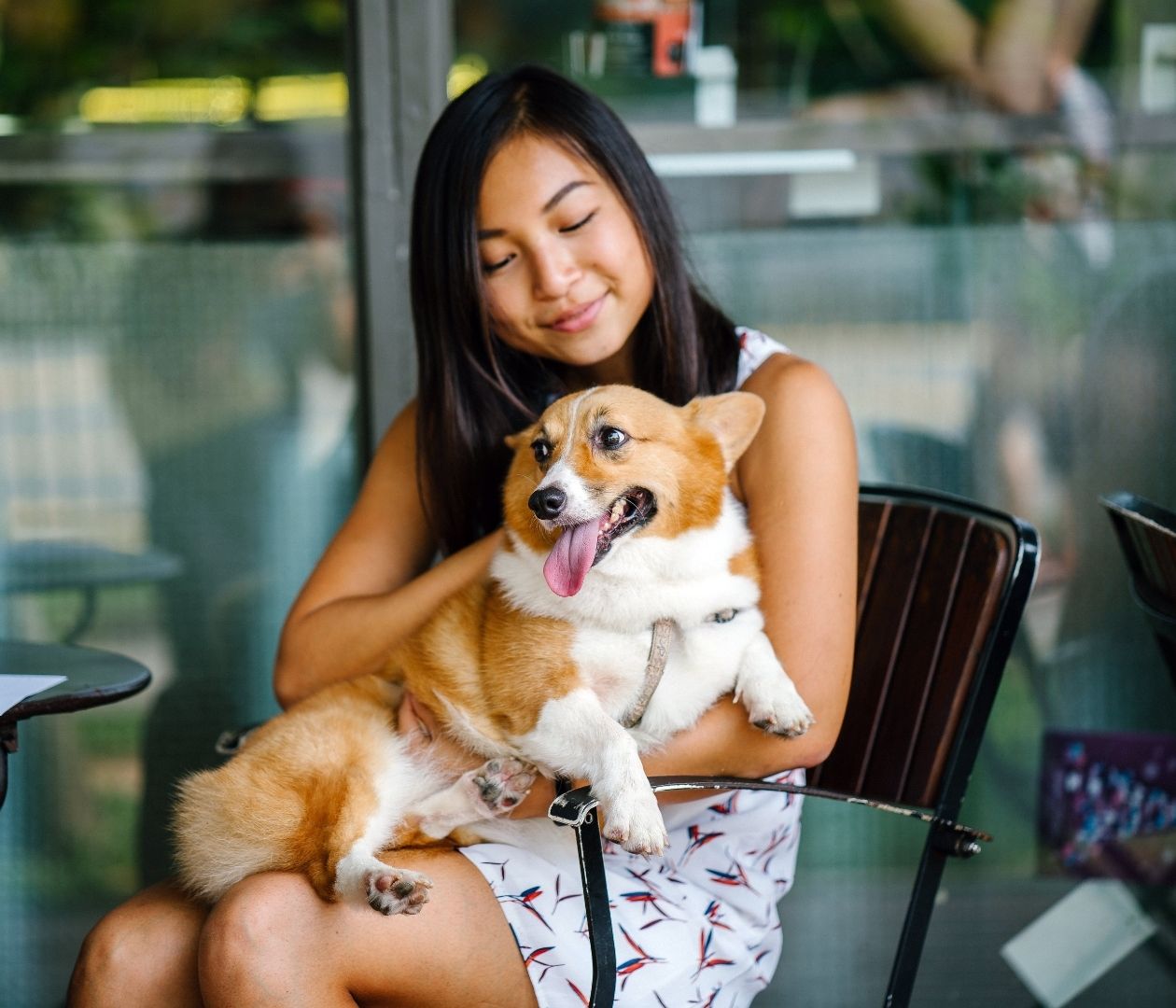 Dog Friendly Restaurants